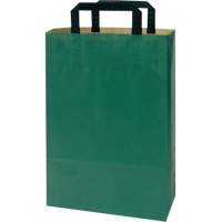 Paper carrier bag Topcraft 22 x 36 x 10.5 cm green 50 pcs./pack