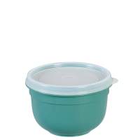 EMSA food storage container Superline Colors 0.6l green