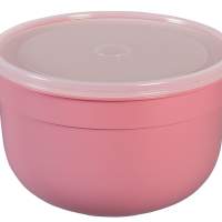 EMSA food storage container Superline Colors 4l pink